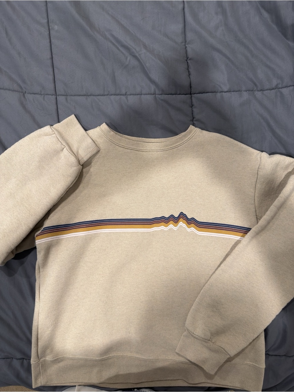 Patagonia Beige Crewneck Sweatshirt with Multicolor Stripe
